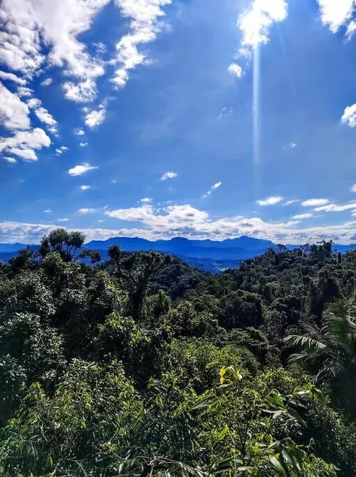 Recanto Nas Arvores Villa Jaragua do Sul