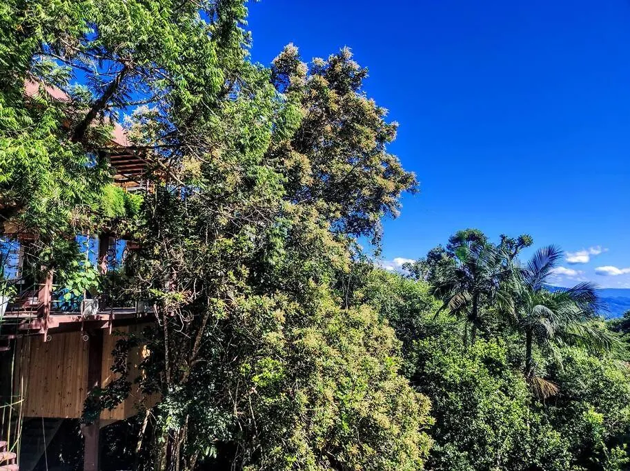 Recanto Nas Arvores Villa Jaragua do Sul