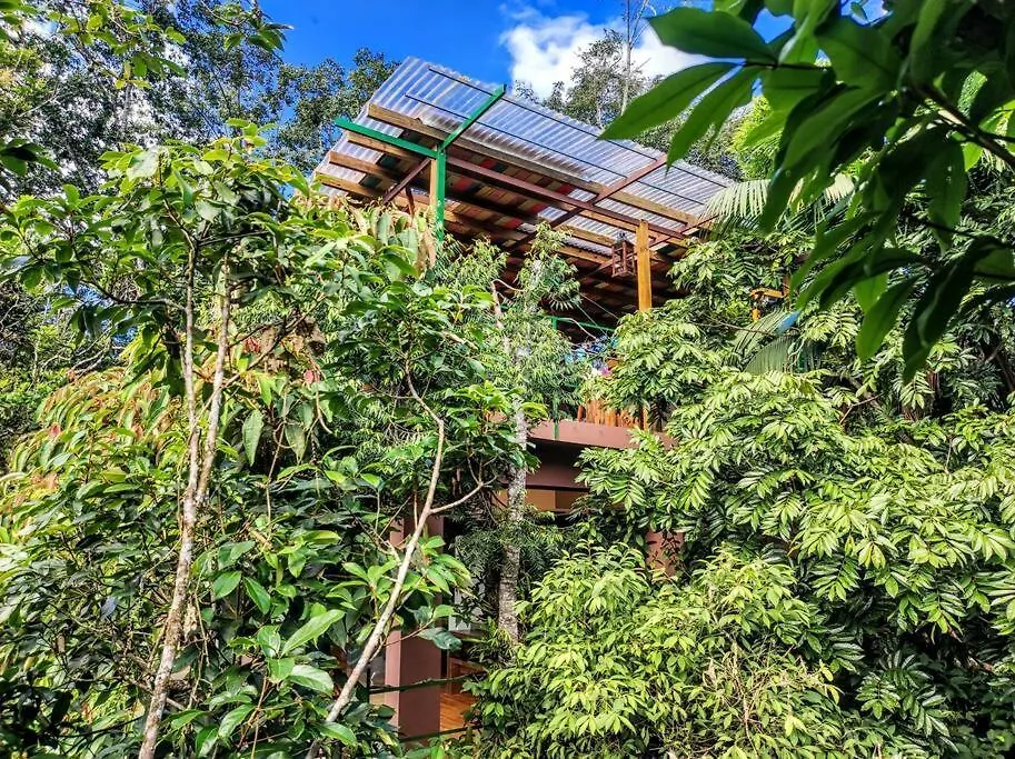 Recanto Nas Arvores Villa Jaragua do Sul Brazil