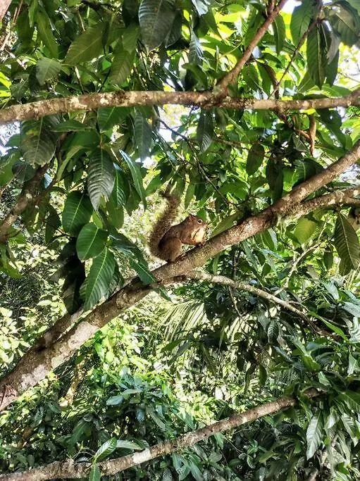 Recanto Nas Arvores Villa Jaragua do Sul 0*,  Brazil